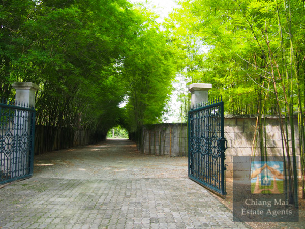Large Office and Land For Sale in Nam Phrae