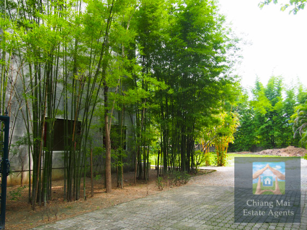 Large Office and Land For Sale in Nam Phrae