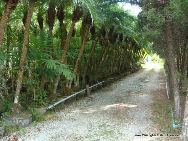 Private Resort Style Home For Sale