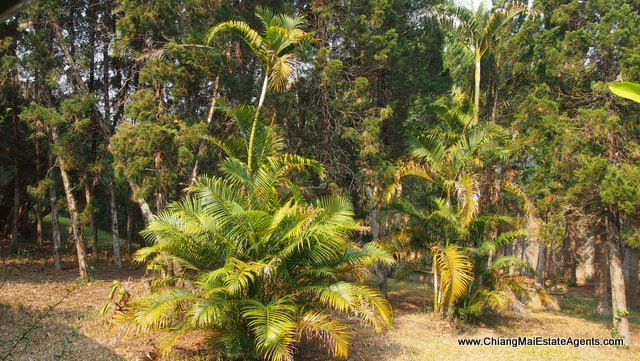Private Resort Style Home For Sale