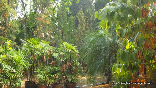 Private Resort Style Home For Sale