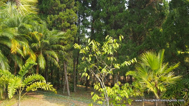 Private Resort Style Home For Sale