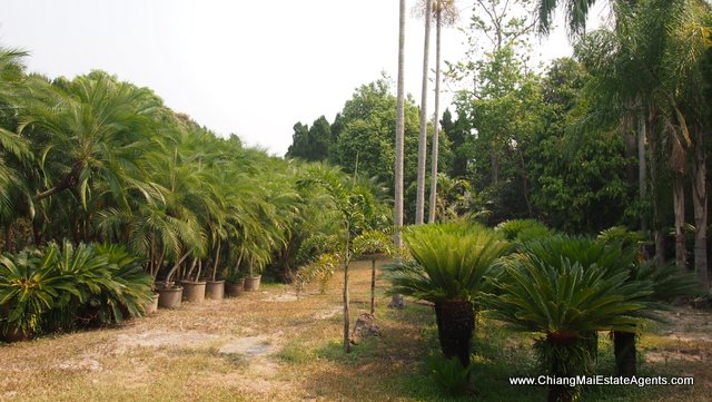 Private Resort Style Home For Sale