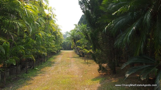 Private Resort Style Home For Sale