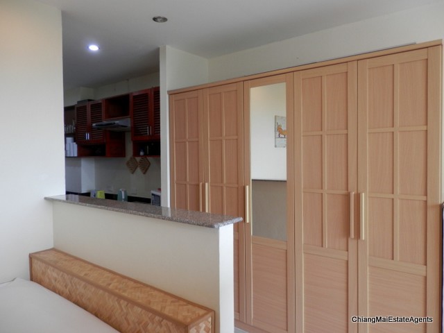 A Nicely Renovated Studio Condo for Rent